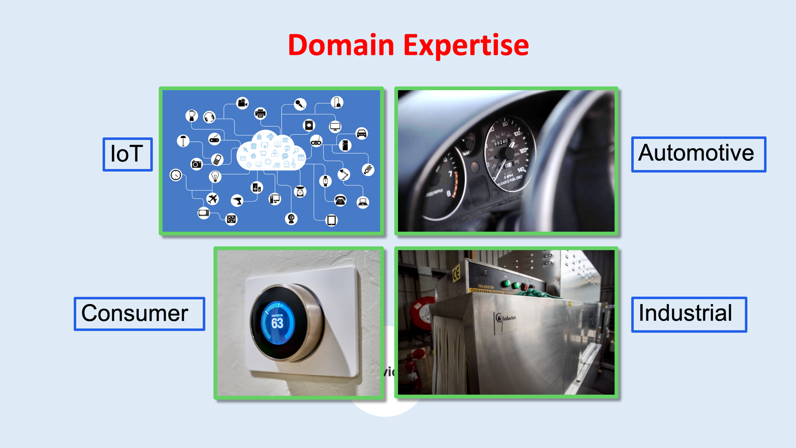 Domain Expertise